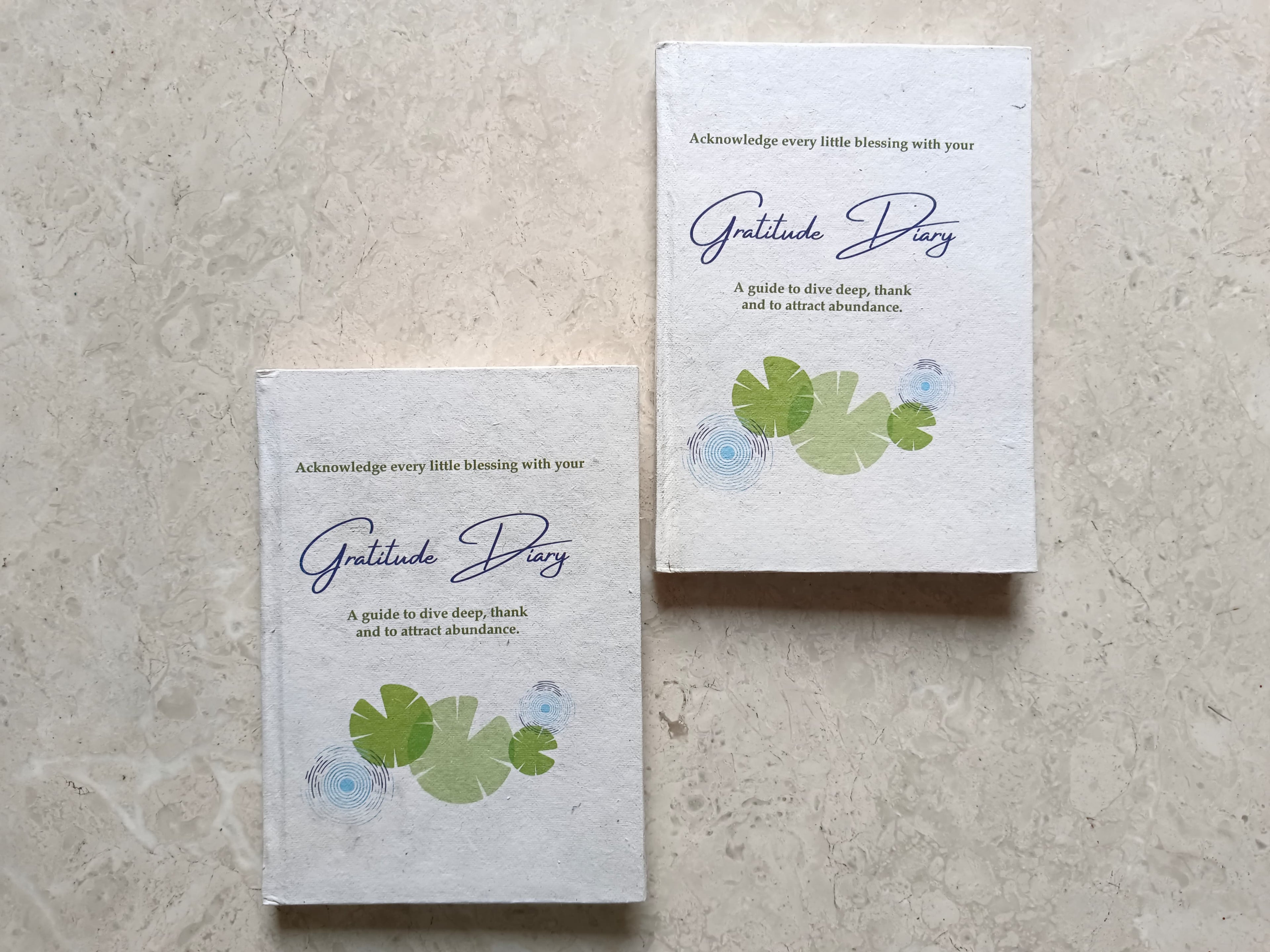 Gratitude Diary