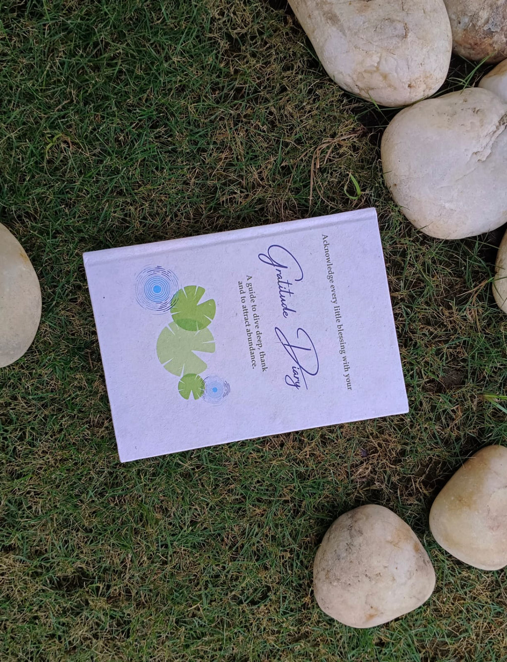 Gratitude Diary