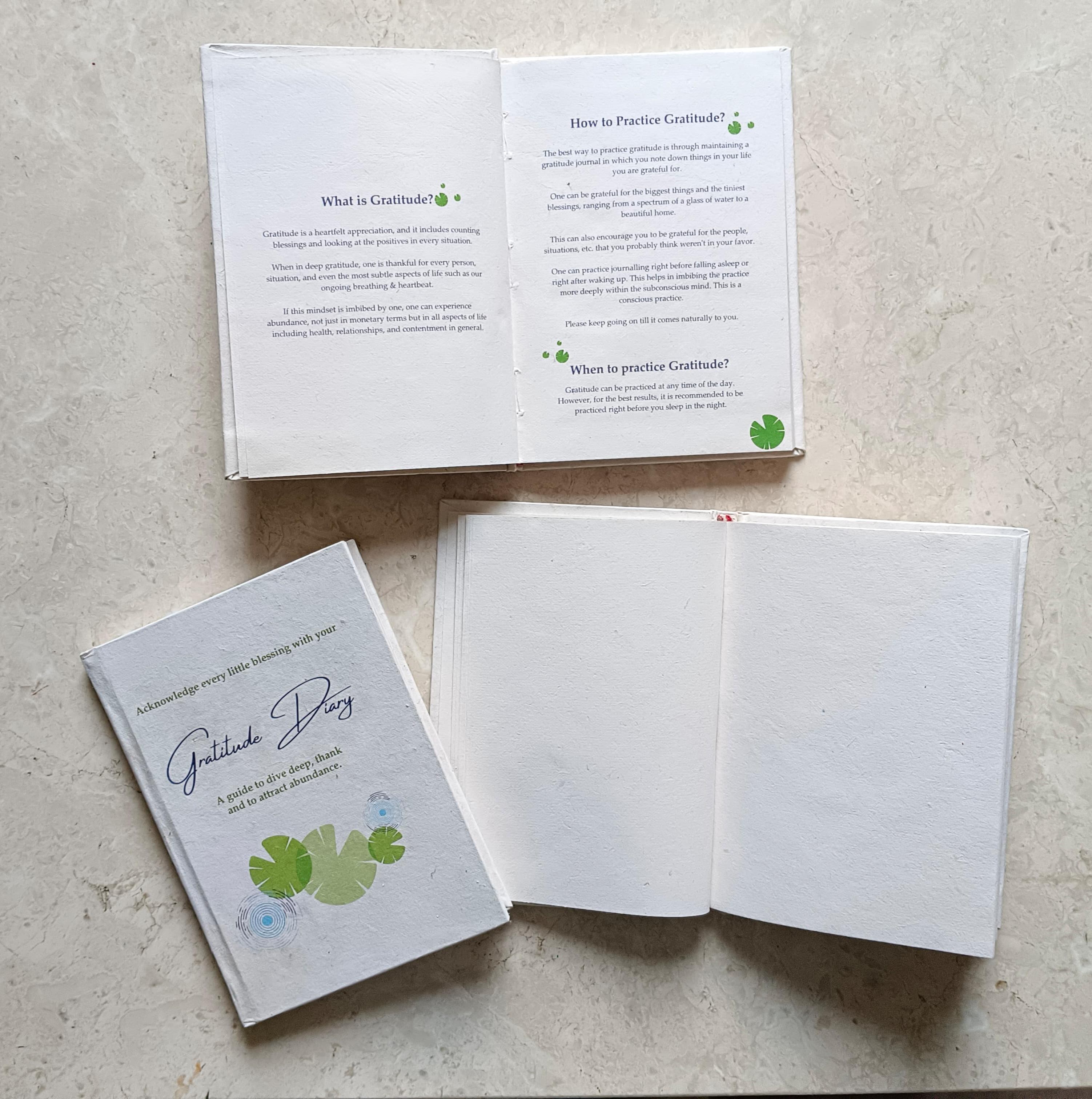 Gratitude Diary