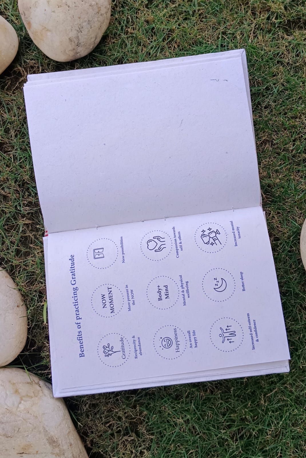 Gratitude Diary